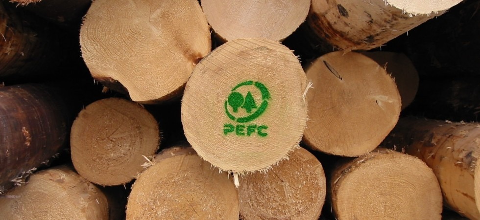 Legno e alberi, Bolzano e Trento davanti a tutti per attenzione all'ambiente e al patrimonio forestale